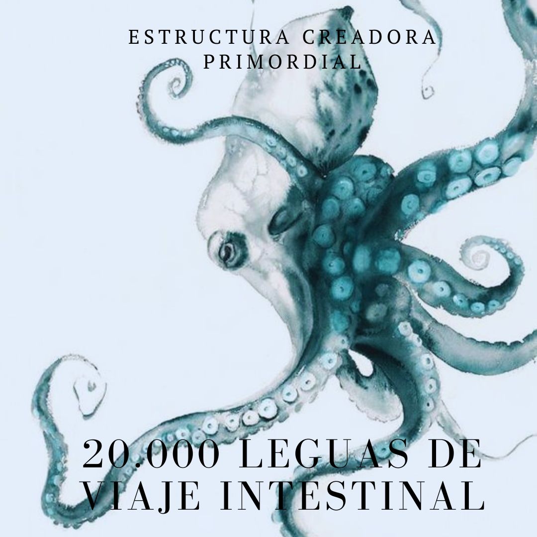 20.000 leguas de viaje intestinal