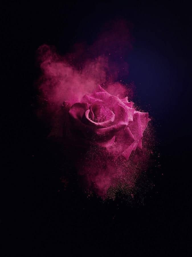 285811087_556725879242206_8179713652450949062_n