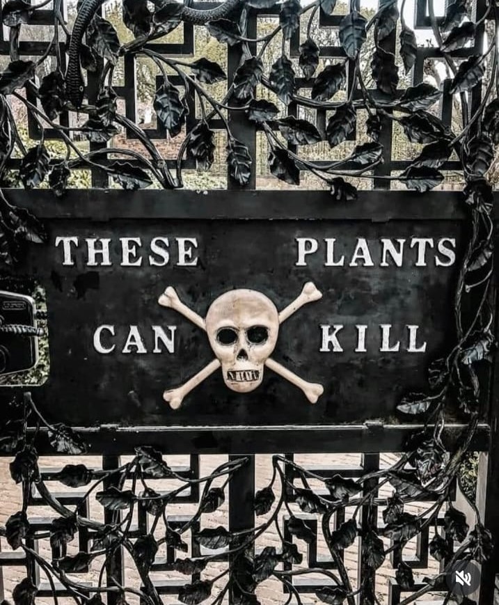 WhatsApp Image 2025-02-09 at 14.57.47