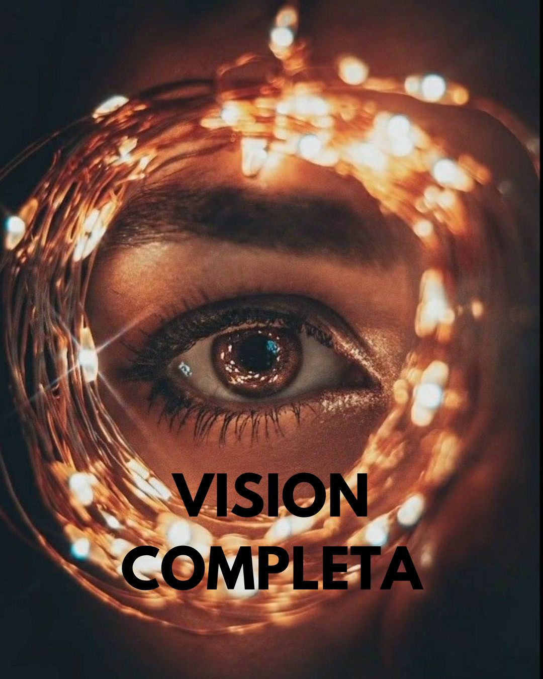 VISION COMPLETA