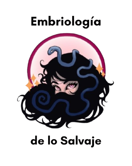 Embrioll-removebg-preview