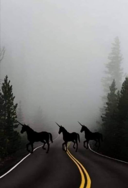 896241b70e15d4416f59a107c0f4cb04